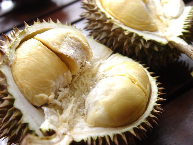 durian trenggalek