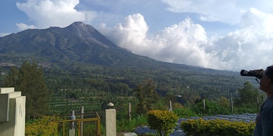 Diprediksi Bakal Erupsi dalam Waktu Dekat, Jumlah Pengungsi Merapi Justru Berkurang