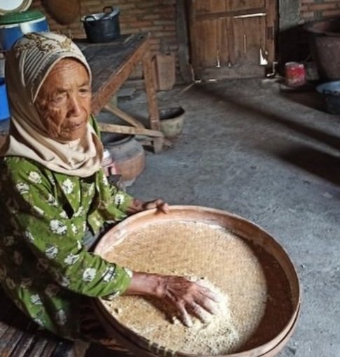 nenek ini hidup sendirian amp biasa makan singkong anggap nasi makanan mewah