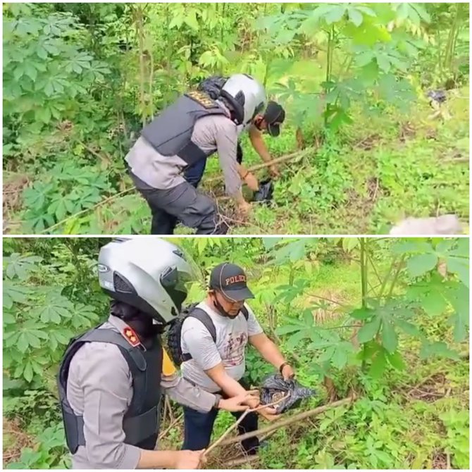 gerebek 039kampung narkoba039 begini aksi polres padangsidimpuan temukan