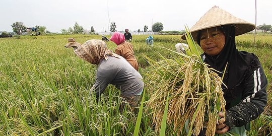 Jokowi Minta Kadin Dampingi 2 Juta Petani Swadaya di 2023