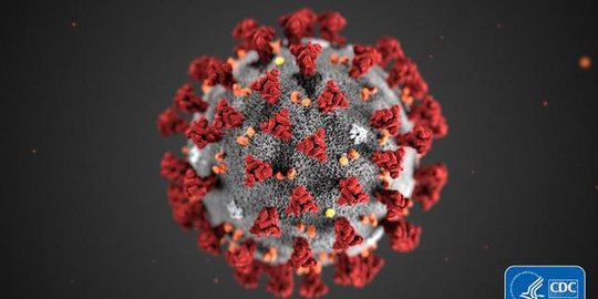 Tepat Setahun, Virus Corona Pertama Kali Menginfeksi Manusia pada 17 November 2019