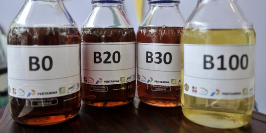 Indonesia Getol Garap Biodiesel, Tengok Kerugian Akibat Penurunan Ekspor CPO