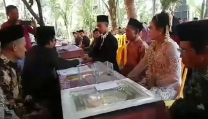 pengantin ini menikah dengan mas kawin sepasang ikan cupang