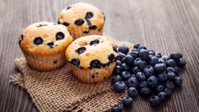 ilustrasi blueberry muffin