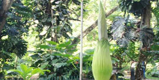 7 Wisata Keluarga di Bogor yang Wajib Dikunjungi, Unik dan Instagramable