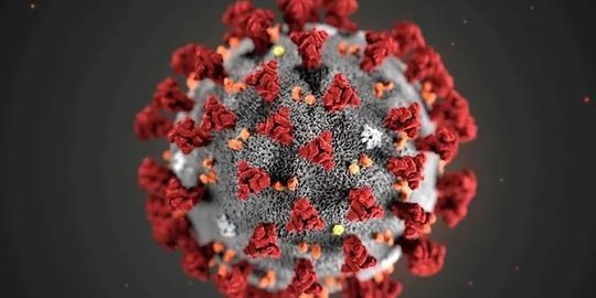 Penelitian Oxford: Imunitas Setelah Terinfeksi Virus Corona Bisa Bertahan Enam Bulan