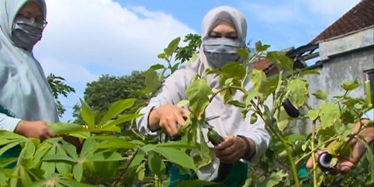 Berani Berubah: Bertahan Hidup dari Lorong Sayur