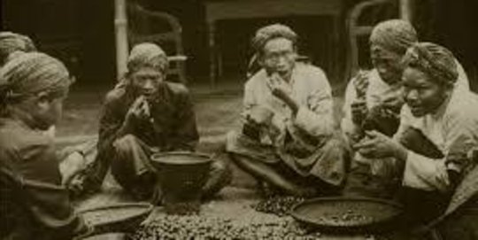 Sejarah Pondok Kopi Jakarta, Kebun Kopi Pertama di Indonesia yang Terkenal di Eropa