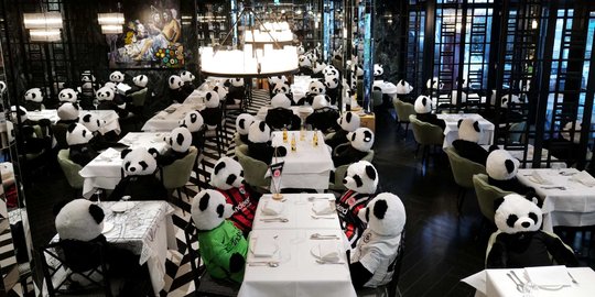Lockdown, Boneka Panda Kuasai Restoran Jerman