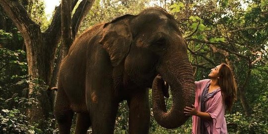 Curi Perhatian, Intip 4 Pemotretan Ashanty dengan Gajah di Bali