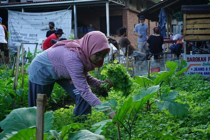 semangat kedaulatan pangan di yogyakarta