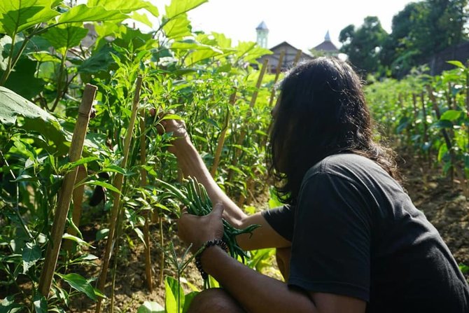 semangat kedaulatan pangan di yogyakarta