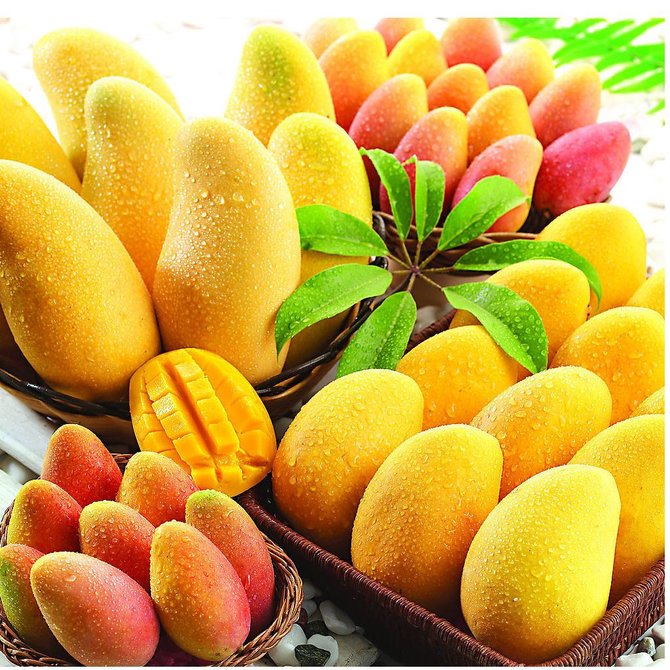 buah mangga