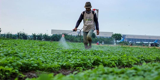 Upah Buruh Tani Naik 0,09 Persen