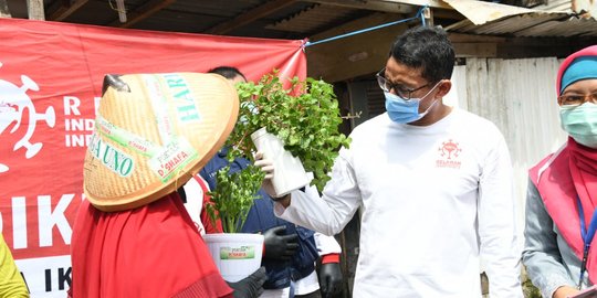 Sandiaga Uno Usul Pembangunan Taman Hidroponik untuk Bantu Ekonomi Warga