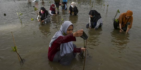 Aksi Menanam Pohon Bakau di Pantai Aceh