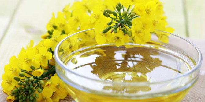 8 Health Benefits of Canola Oil, Helps Healthy Skin and Heart