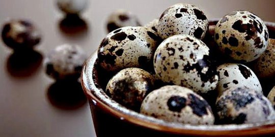 6 Bahaya Konsumsi Telur Puyuh Berlebihan, Bisa Sebabkan Hipoglikemia