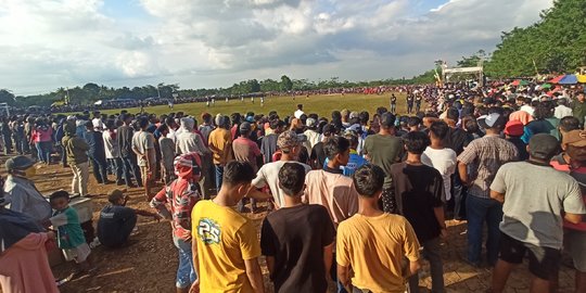 Ribuan Orang di Serang Berkerumun Tonton Turnamen Kerbau Cup tanpa Protokol Kesehatan