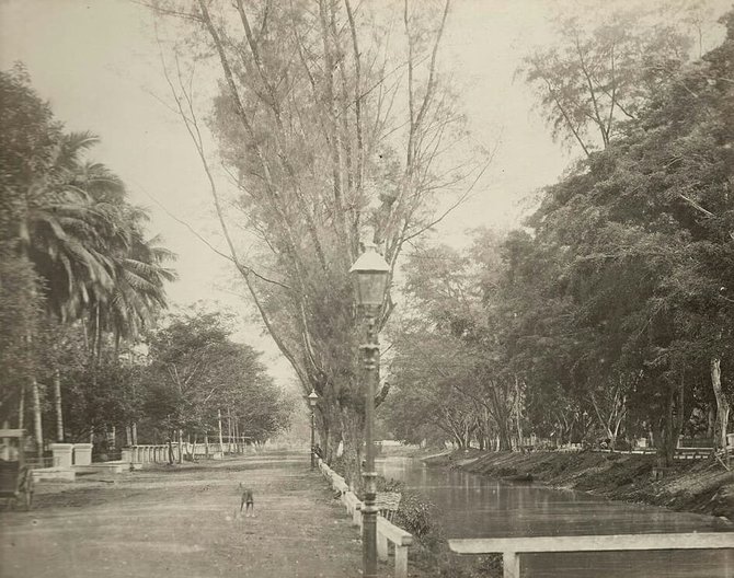 potret tanah abang tahun 1890