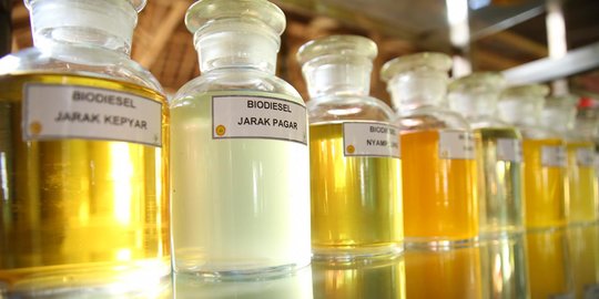 20 Ton Jelantah dari Kaltim Diekspor ke Eropa untuk Bahan Baku Biodiesel