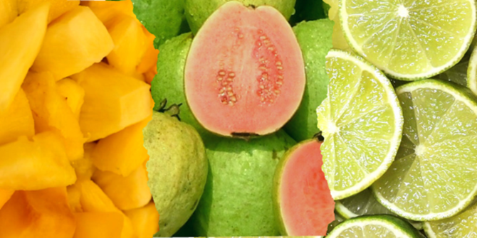 ilustrasi buah buahan