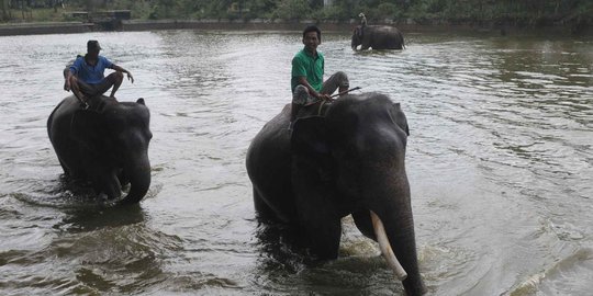 8 Wisata Lampung yang Hits dan Wajib Dikunjungi