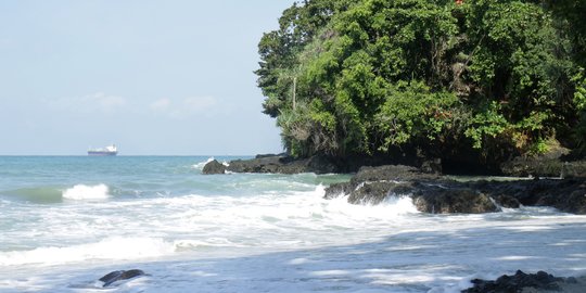 Doni Monardo Titip Pondasi Tanaman di Nusakambangan, Pelindung Warga dari Tsunami