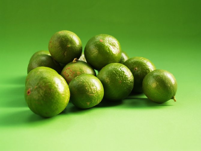 lime illustration