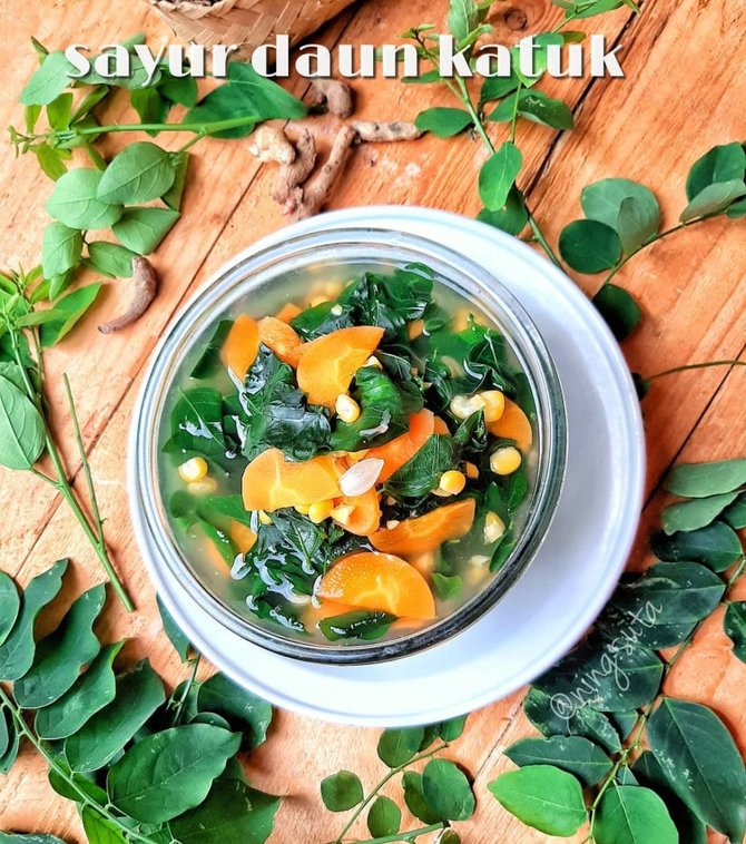 resep olahan daun katuk