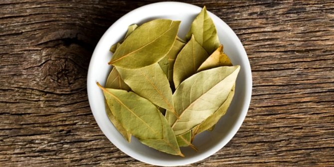 8 Benefits of Dried Bay Leaves for Health, Help Maintain Healthy Blood Sugar