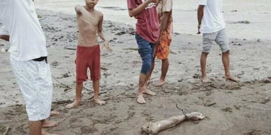 Mandi di Aliran Sungai Cimadur Lebak, Warga Temukan Potongan Tangan Manusia