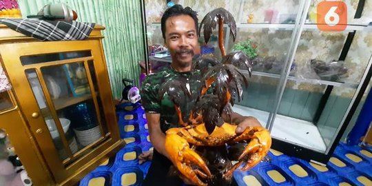 4 Cara Membuat Kerajinan Tangan Dari Stik Es Krim Simpel Dan Menarik Merdeka Com