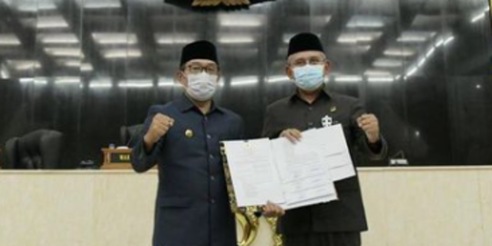 Dinyatakan Siap, Jawa Barat Akan Bentuk 3 Kabupaten Baru di Wilayah Berikut