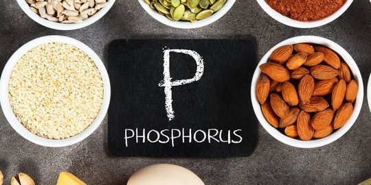 7 Manfaat Fosfor bagi Fungsi Tubuh, Perkuat Tulang hingga Tingkatkan Metabolisme
