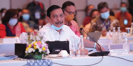 Menko Luhut: Jika Sesuai Rencana, Vaksinasi Dimulai Akhir 2020