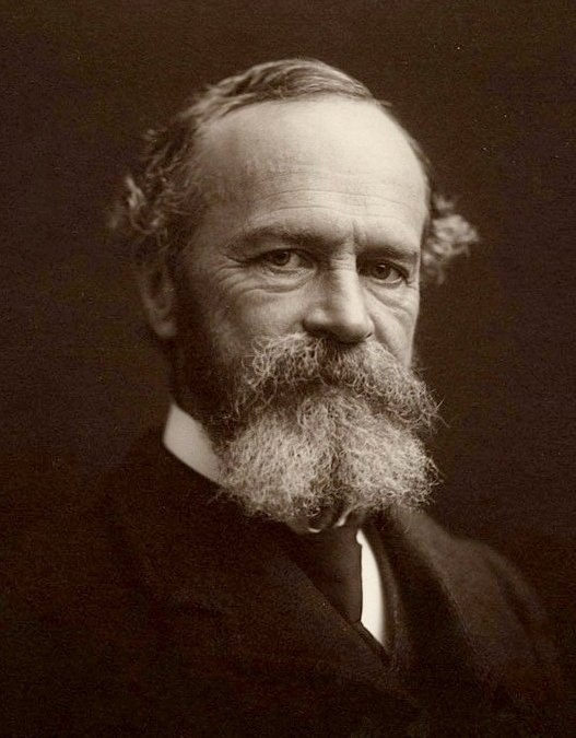 ilustrasi william james