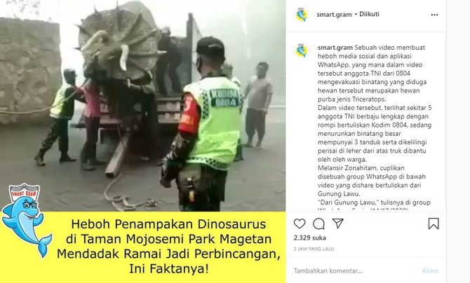 viral video anggota tni evakuasi hewan purba di magetan begini fakta di baliknya