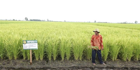 Menkop Teten Beberkan Alasan Sulitnya Petani Dapat Pembiayaan dari Perbankan