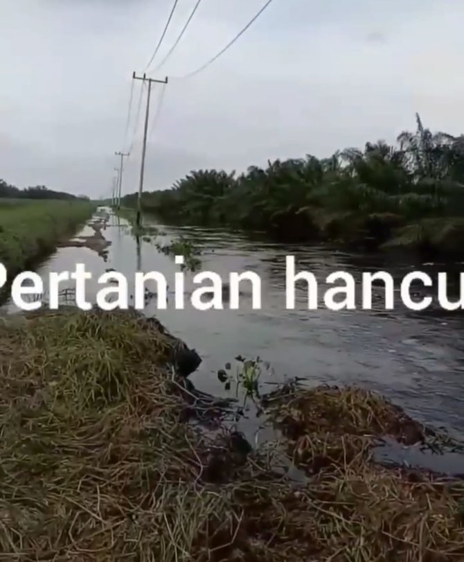 sudah sebulan desanya terendam banjir kades di asahan ini nangis minta bantuan