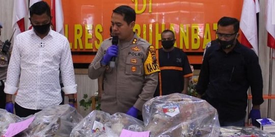 Polisi Berhasil Gagalkan Perdagangan Kulit Harimau Sumatra, Ini Faktanya