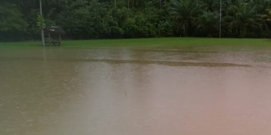 La Nina, Kementan Minta Tiap Daerah Lakukan Langkah Antisipasi Banjir