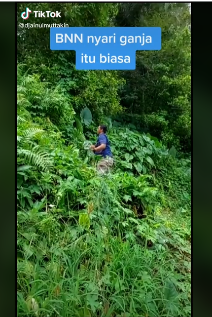 kocak petugas bnn niat razia ganja