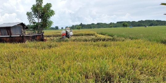 Boyolali Jadi Percontohan, Ini Kata Mentan Soal Integrated Farming System