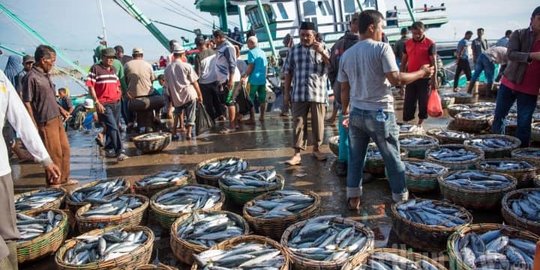 Pemprov DKI Awasi Peredaran Ikan Jelang Natal dan Tahun Baru