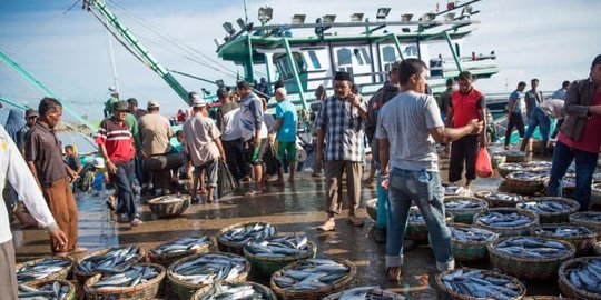 Mengenal "Karlak", Budaya Mengutil Ikan Ala Masyarakat Nelayan Pantura