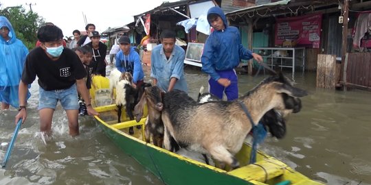 Diguyur Hujan, Sejumlah Titik di Makassar Banjir