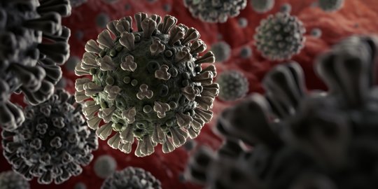 WHO Sebut Varian Baru Virus Corona di Inggris Tak Perlu Dikhawatirkan