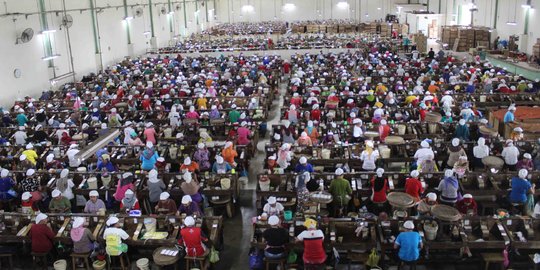 Deretan Tantangan Penciptaan Lapangan Kerja di Indonesia